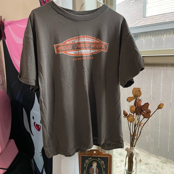 Vtg y2k Delta Great Smoky Mnts. Tennessee short sleeve tee - Picture 11 of 13